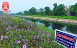 Đẹp ngỡ ngàng với con đường hoa tím bên dòng sông Tô Lịch